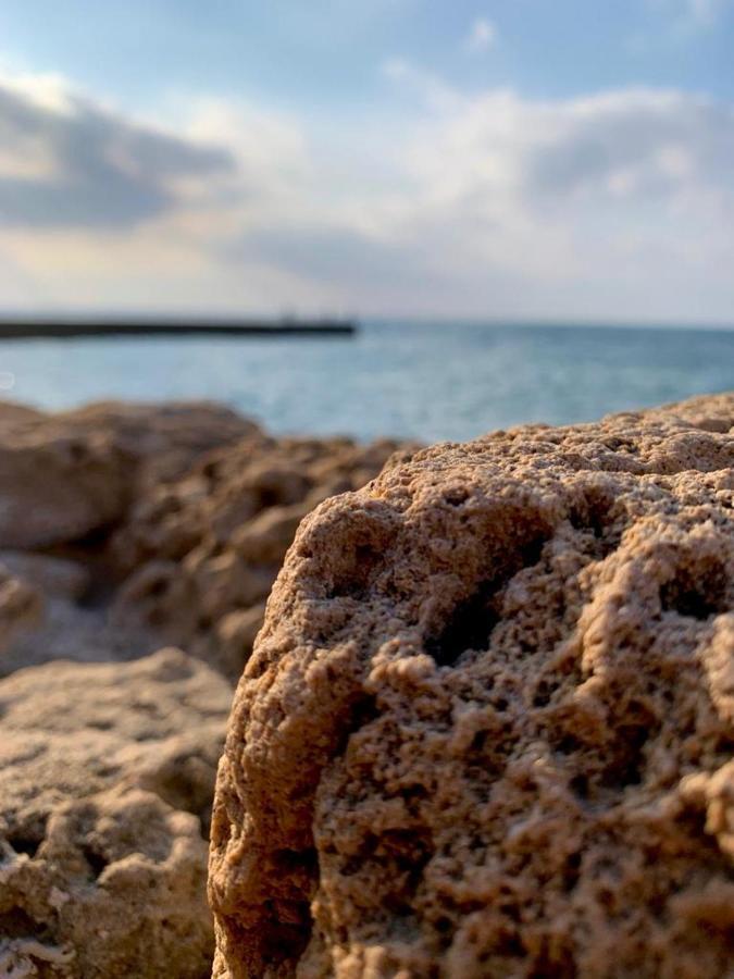 Caesarea :In The Front Of The Seaアパートメント エクステリア 写真